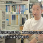 モノリス虫草エキス/虫草カプセルの有効性について