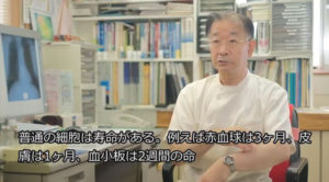 モノリス虫草エキス／虫草カプセルの有効性について