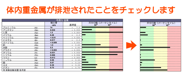 毛髪ミネラル検査